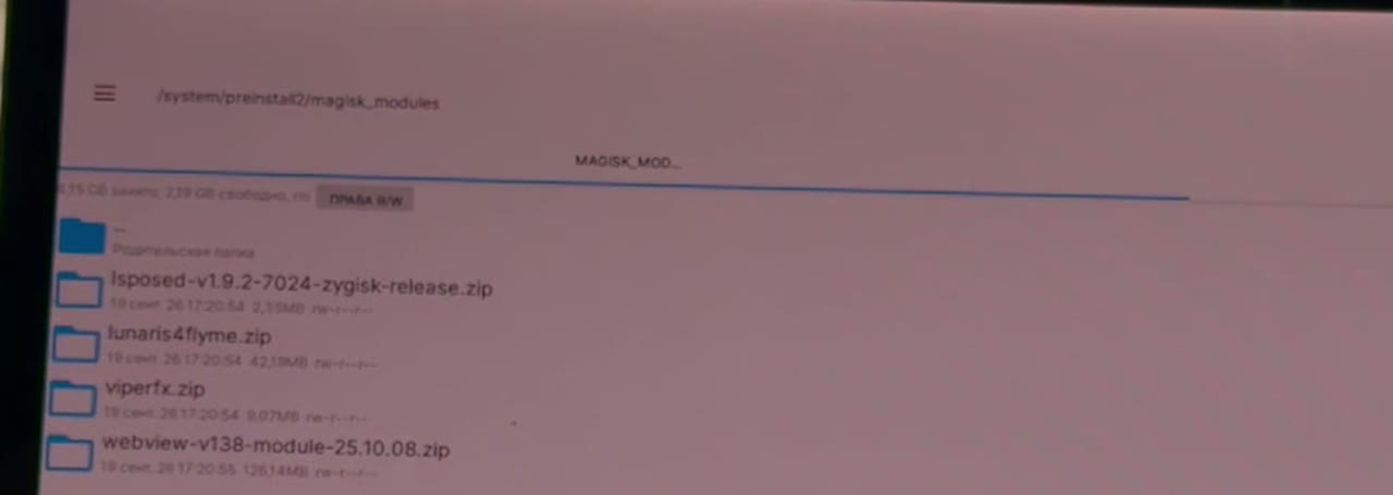 Модули в папке magisk_modules